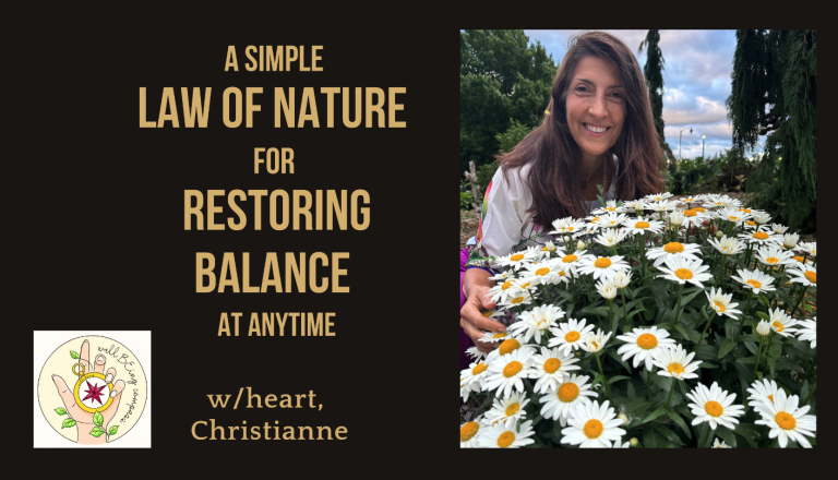 Harmonizing with Nature: A Guide to Ease and Balance